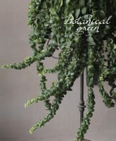 �ڴ��տ�ʪ�ۡ��������ʥ󥵥����إ饹����