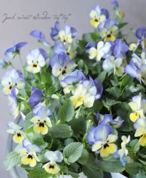 �褯�餯���ߥ졦�ѥ󥸡����إ�������