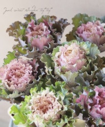 ղðإե쥹åեȡ 1Ω