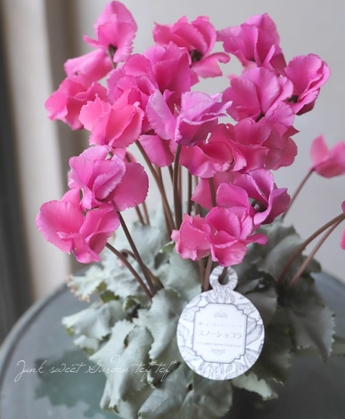 マルサン ミニラ250（PinkNeon Ver.） ステラマッカートニー 三つ折り財布 ファラベラ Sサイズ ミニ財布