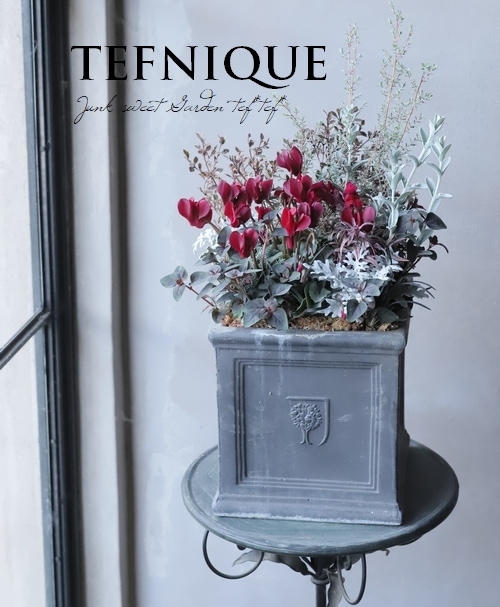 寄せ植え Tefnique 寄せ植え 21 No 10 シルバーレッドなクリスマス 寄せ植え Junk Sweet Garden Tef Tef 寄せ植え Tefnique 寄せ植え 21 No 10 シルバーレッドなクリスマス 寄せ植え Junk Sweet Garden Tef Tef