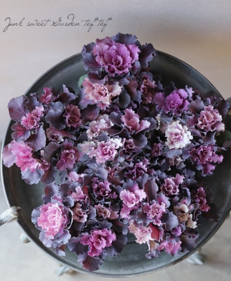 ���ղ�ð���إ�����ơ����֡����� �ե��