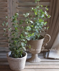 �桼���ꡡ�إ��ˡ��١��������դä�