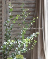 �ϡ��ȥ꡼�ա��桼���ꡡ�إ����֥��ƥꥢ�ʡ�