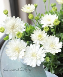 Ȭ�ź餭���֥롦�����ƥ����ڥ�ޥࡡ3D���إʥ̡����١�