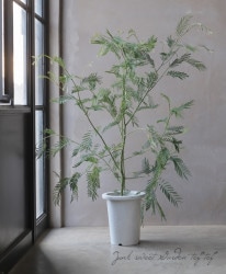 �͵��餭���������� �إǥ��ͥ��� �ǥ������ȥ�