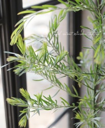 ץꥹ٥󡦥إե֥ꥢ