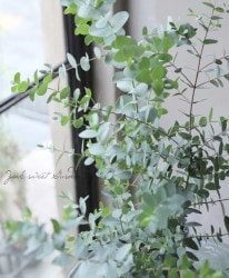 �桼���ꡡ�إѥ�֥�� ����