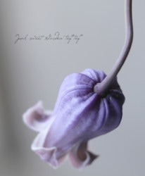 �۷�����ޥ�������������ʷϡ��إ���С�