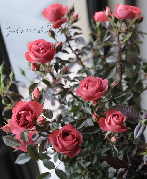 ❤アンティーク加工 教会と、ピンクのミニ薔薇のミニオブジェ 楽天市場