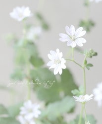 ˥ࡦԥʥࡡإޡΡ١ե