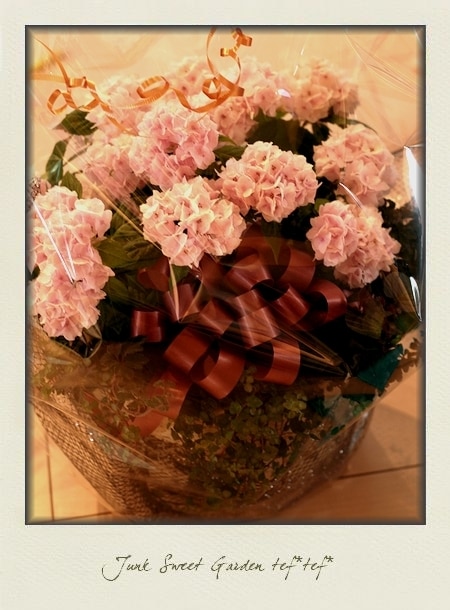 お花のラッピング | ❤母の日ギフト受付❤ | | Junk sweet