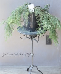 ����ѥ��Ⱥǿ��ʼ���� �������������� �إ���ǥ����ե����