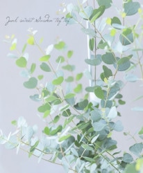 ϡȥ꡼ա桼ꡡإ֥ƥꥢʡ