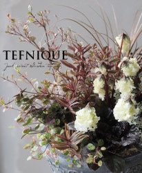 �ե��餭���������󡦥����ʡ��إ֥�ꥢ��ȥ��꡼���