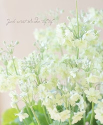 �ץ��顦�ޥ饳���ǥ� �إ����饤����֥�� ������¤�������ױ��