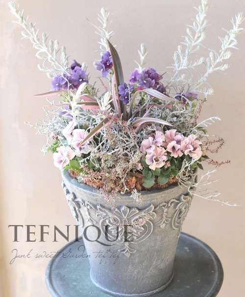 寄せ植え】-TEFNIQUE-寄せ植え 2023 * no.02 * 『スプリング