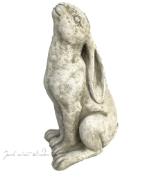 ڻߡ ѹSPARTA STATUES Moon Gazing Hare ǥ󥪡ʥ