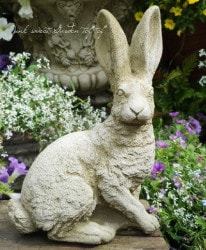 �ڻ��ߡ� �ѹ�SPARTA STATUES ��Hare�� �����ǥ󥪡��ʥ���