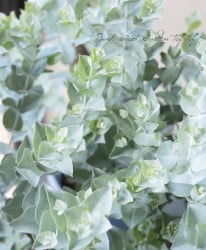 �桼���ꡡ�إ���ӥ���