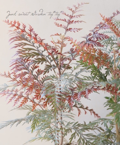 グレビレア 『ロブスター』 オーストラリアンプランツ | すべての商品