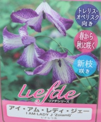 ����ޥ������ӥ������ ��եǥ��꡼�����إ��������ࡦ��ǥ����������١����޺餭