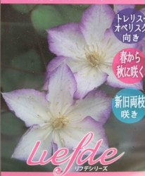 ����ޥ������إ�å������㡼��١�����ξ�޺餭