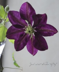 ����ޥ������ե�����ϡ��ؤϤ�ơ١�����ξ�޺餭