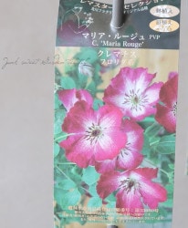 ����ꥸ�ʥ륯��ޥ����� �ե�����ϡ��إޥꥢ���롼�����