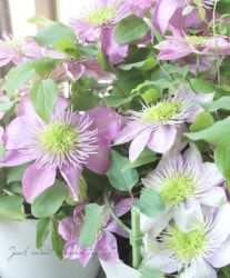 ����ޥ������إ���ڥ顼�١�