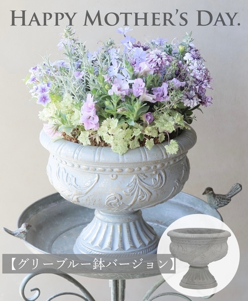 先行割引10%off！随時お届け】 母の日の寄せ植え 『グリーブルーの鉢