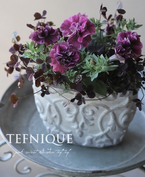 母の日にも♪ 寄せ植え　花■大人可愛いバスケット sa25205540.jpg