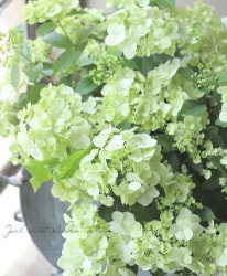 ���۲� �饰��󥸥����إ����ǥ꡼�ˡ١�