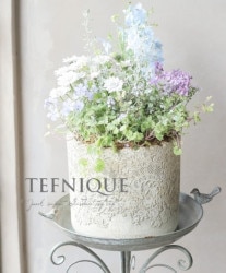 ڻߡۡڷ̡ ꡼̥졼饦Lڥܥ꡼ɡ