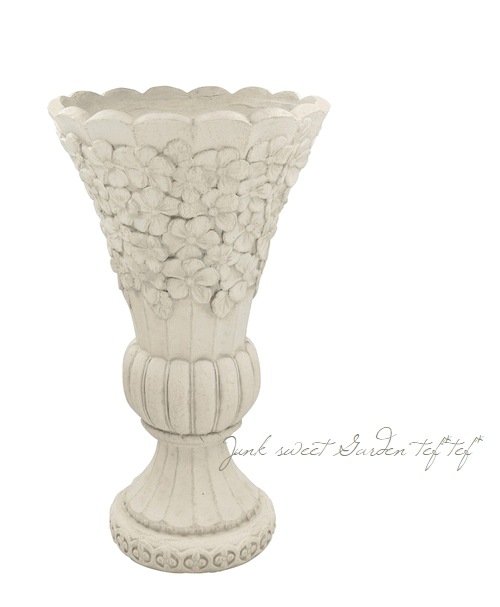 GFキャベック　　お花 Echeveria Garden Ichika added a - Echeveria Garden Ichika