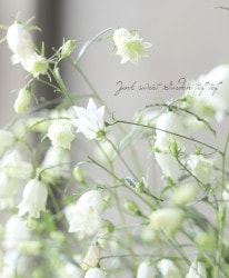 亮㥸 Ȭź餭ۥ磻ȡ