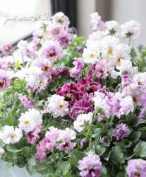 hajunane様ご確認用です☆フレームブーケ(中)ルスカス44 hajunane様ご確認用です☆フレームブーケ(中)ルスカス44 hajunane様ご