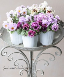 ե餭ѥ󥸡إե  ¥ꥸʥ2023ǿʼ