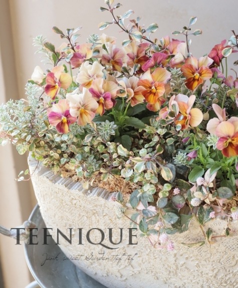 寄せ植え】-TEFNIQUE-寄せ植え 2023 * no.14 * 『静かな秋に優しく