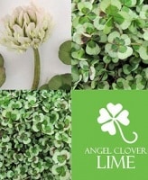 ��֥������С����إ饤���