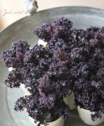 ޥĥХեեवղðإ֥롼åɥ֡