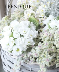 Х餭ץ顡إۥ磻ȥɥ쥹