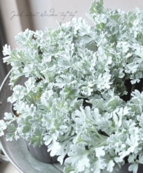 ����ƥߥ������إ�ꥹ�����ȥ쥤��١�