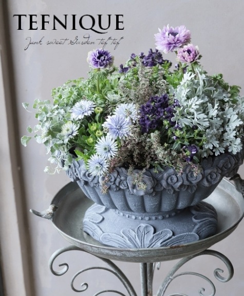 秋風に揺れる❤︎レプトスペルマムのリーフでまとめた寄せ植え 000000020801_VEvIQS8.jpg