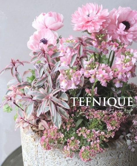 寄せ植え】-TEFNIQUE-寄せ植え 2024 * no.3 * 『春色クラシカル