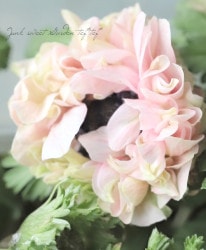 �ڿ��ֱव�󥪥ꥸ�ʥ�� Ȭ�ź餭���ͥ�� �إ��ե�����֥�� 1��ʪ ��No.8��