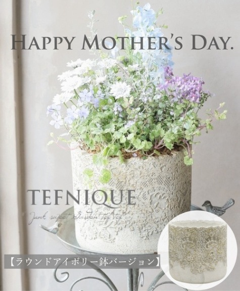 母の日の寄せ植え 『ラウンドアイボリーの鉢バージョン』 | 寄せ植え