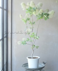 ���⡼���ĥ꡼���إۥ磻�ȥե����١�2024 ��No.15��