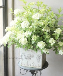 ���۲� �饰��󥸥����إ����ǥ꡼�ˡ١�