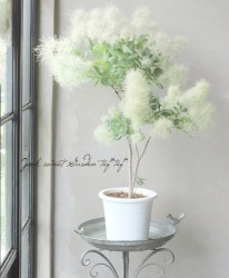 ���⡼���ĥ꡼���إۥ磻�ȥե����١�2024 ��No.17��